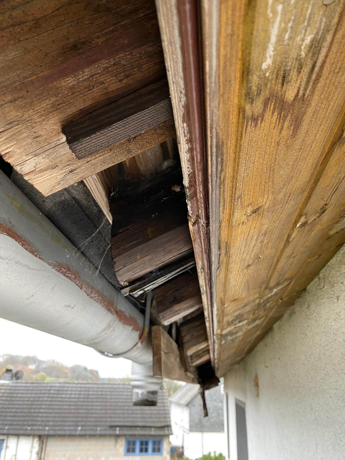 Bausachverständiger bei Schimmel – Gerhard Palm